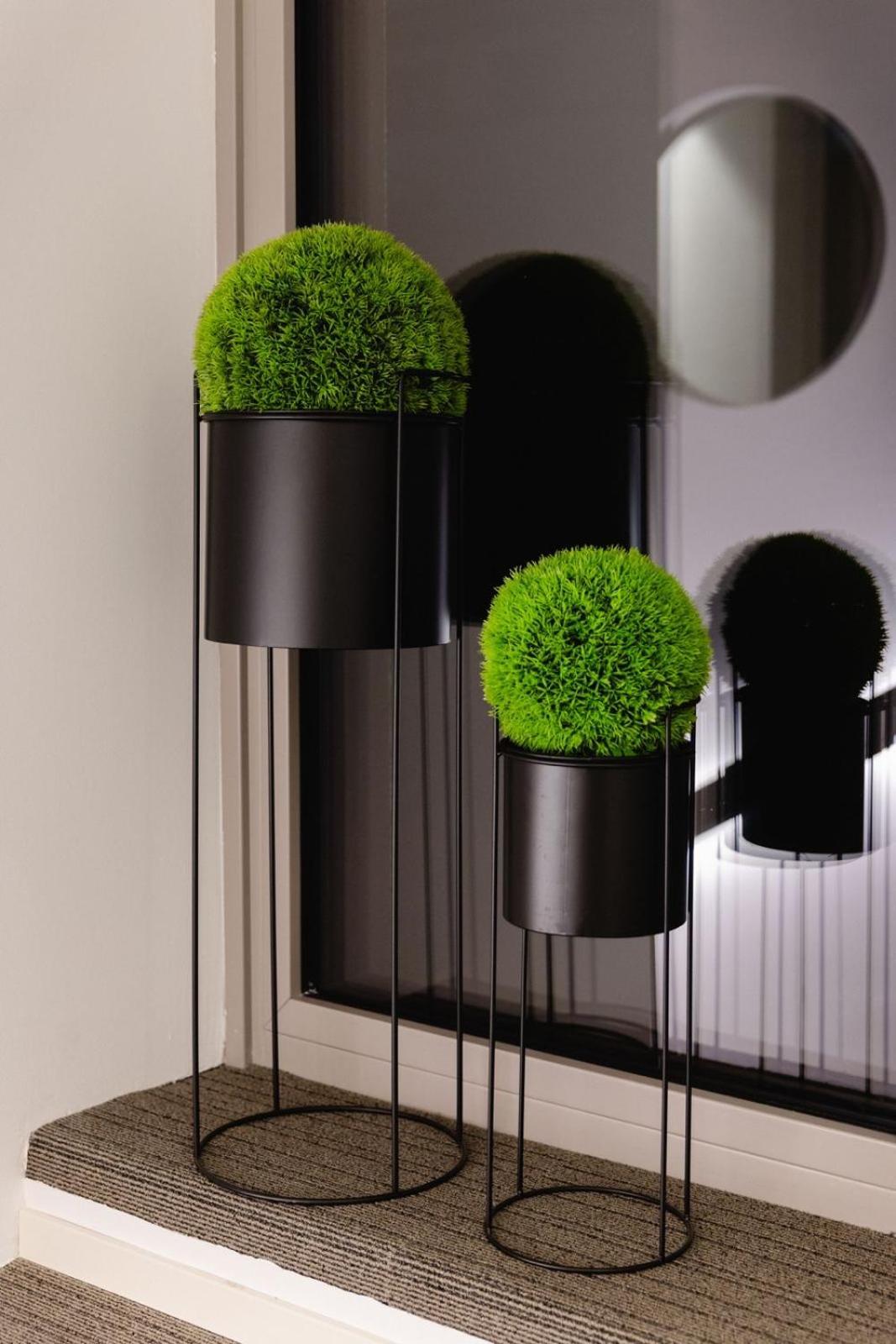 טיראנו Terra Hotel Boutique מראה חיצוני תמונה